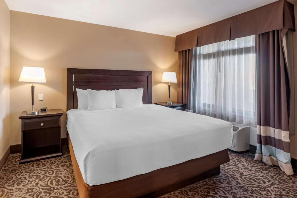 One-Bedroom King Suite with Queen Sofa Bed - Non-Smoking interior